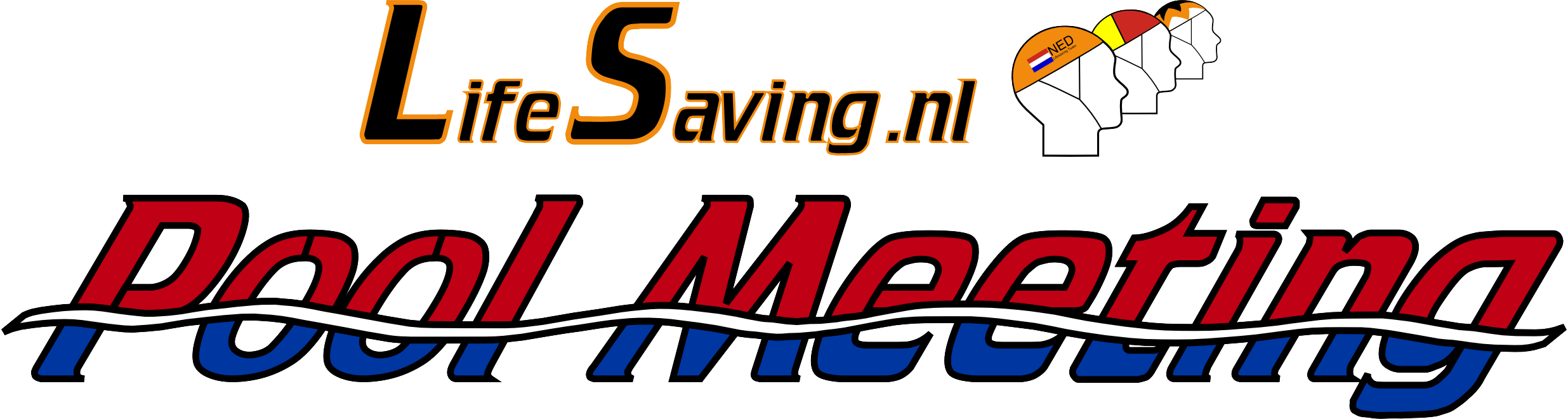 LifeSaving.nl Pool Meeting