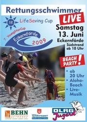 LiSa Cup Poster 2009
