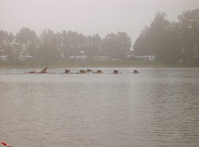 Board Mist
